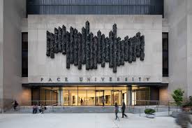 Pace University – The Academic Advisor