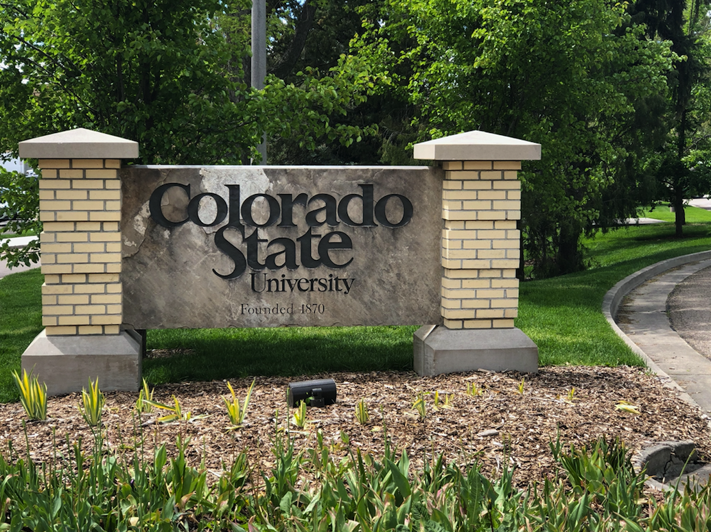 Colorado State University